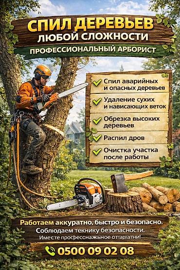 доски дрова: Услуги профессионального арбориста: спил деревьев любой сложности — 1