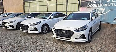 Kia: Kia K5: 2021 г., 2 л, Автомат, Газ, Седан — 5