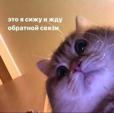 помещения для офиса: Возьму в аренду точку под настоящий Турецкий фаст фуд. Ждем