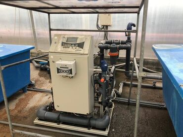 Kommersiya daşınmaz əmlakının satışı: Zirə Kəndi, 10 hektar sahəsi olan parnik satılır. 5 hektar yarım — 6