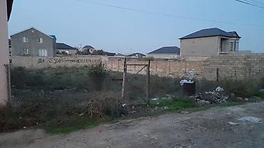 naxcivan ev: Biznes üçün, Kupça (Çıxarış) — 3