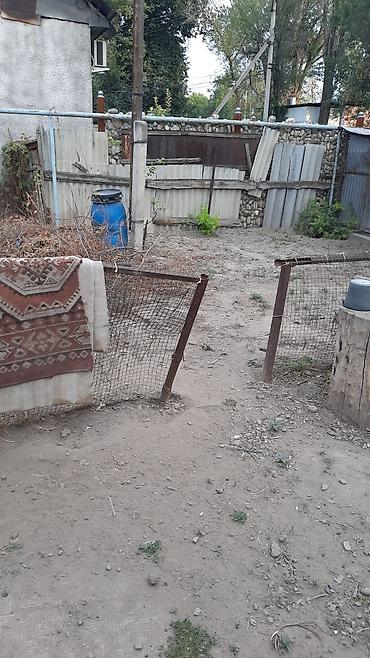 Дома: Продаю пол.дома район Пригородное, по ул.Широкой,близко к ул.Фучика, 2 — 10