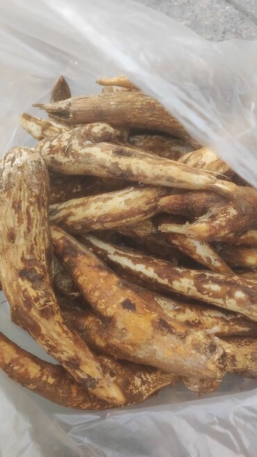 Çöl bitkiləri: Bütün növ yerli və xaricdən gəlmə bitkilərin topdan satışı Çərəz — 2