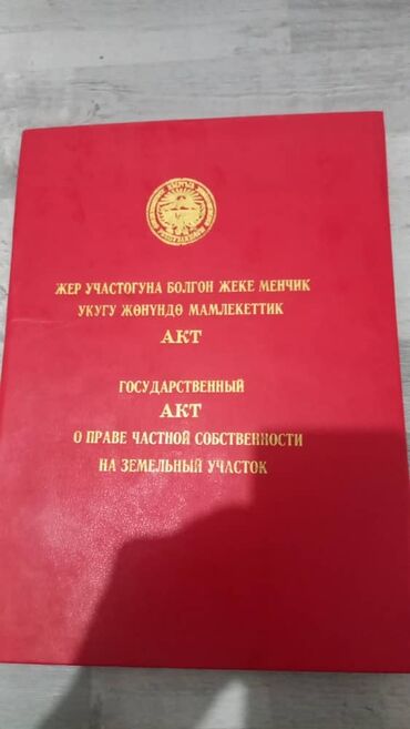 участки кызыл туу: 25 соток, Айыл чарба үчүн, Кызыл китеп