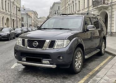 наваро: Кенгурятник Nissan, Новый, Бесплатная доставка — 8
