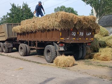 купить тягач с прицепом бу: Грузовик