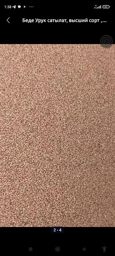 Люцерна: Беде Урук,семена люцерны люцерна высший сортсемена клевера для — 11