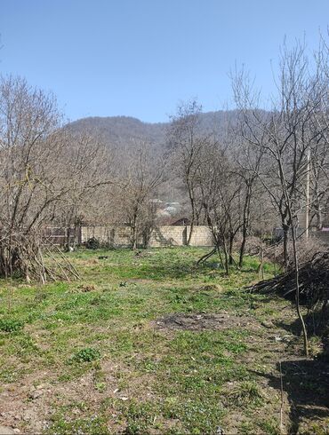 Torpaq sahələrinin satışı: 10 sot, Tikinti, Barter mümkündür, Kupça (Çıxarış) -da lalafo.az — 15 Torpaq sahələrinin satışı: 10 sot, Tikinti, Barter mümkündür, Kupça (Çıxarış) — 15