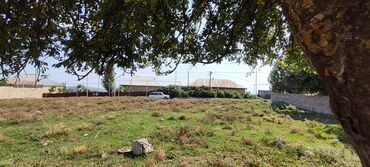 Torpaq sahələrinin satışı: Tikinti, Mülkiyyətçi, Kupça (Çıxarış) — 4