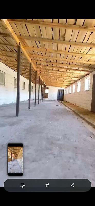 şirvanda torpaq: 700 sot, Kənd təsərrüfatı, Kupça (Çıxarış) — 10