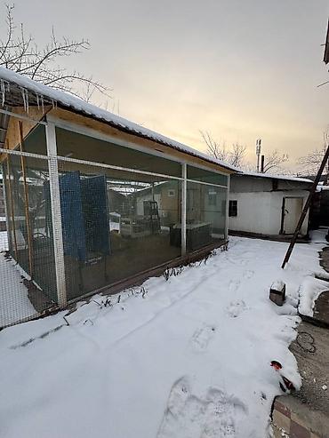 Продажа домов: Дом, 69 м², 3 комнаты, Агентство недвижимости, Евроремонт — 3