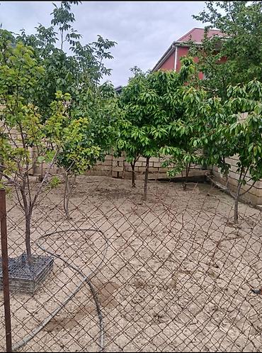 evler satisi: 5 otaqlı, 60000 kv. m, Yeni təmirli — 2