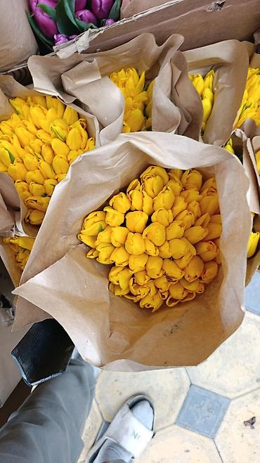 Букеты из живых цветов: Тюльпаны с тепличной выгонки — оптом и для флористов. - Ассортимент — 15