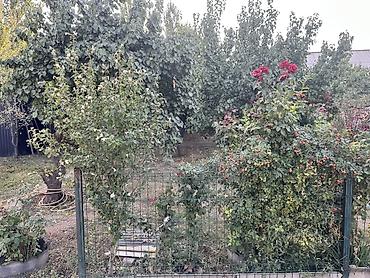 Продажа коттеджей и домов: 🔥 Дом с бизнесом | ПВЗ Wildberries | Угловой 🏡 Продаётся одноэтажный — 6