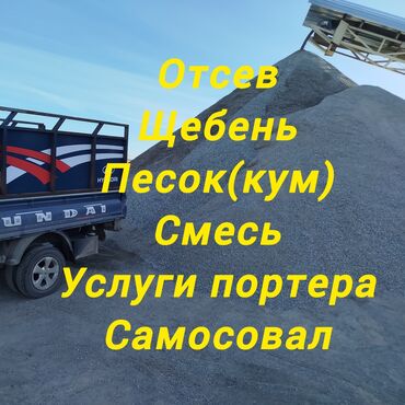 птица домашняя: Эленген шагыл, Бетон үчүн, Дүңүнөн, Чекене, Портер