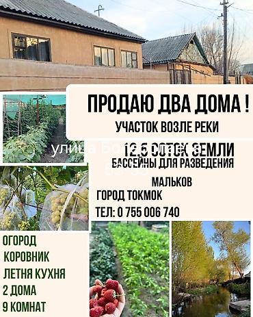 Үйлөр: Продаются два дома на одном участке рядом с рекой, г. Токмок. Площадь — 1