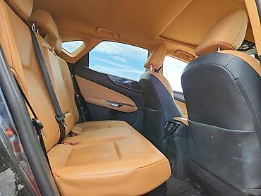 nx: Lexus NX: 2022 г. — 8