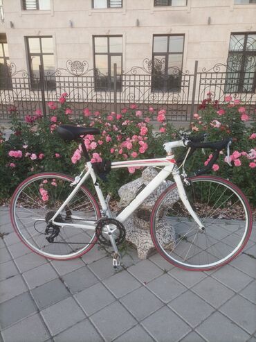 Шоссейные велосипеды: Шоссейный велосипед с алюминиевой рамой. 🔧 Характеристики: - Рама — 2