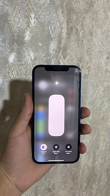 Apple iPhone: IPhone 12, Б/у, 256 ГБ, Синий, Защитное стекло, Чехол, 75 % — 10