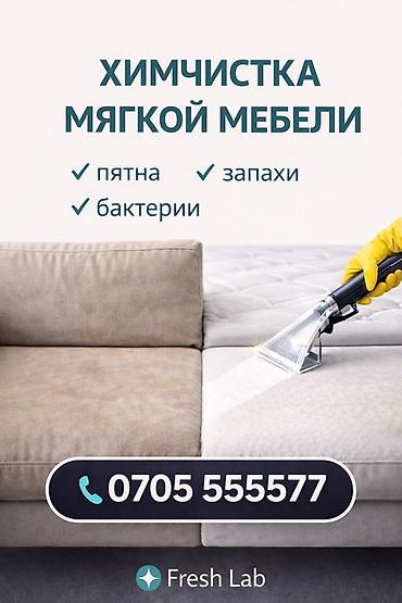 каракол мебел: Эмеректерди химиялык тазалоо, | Жумшак эмерек — 1