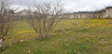 Torpaq sahələrinin satışı: 34 sot, Tikinti, Mülkiyyətçi, Kupça (Çıxarış) -da lalafo.az — 4 Torpaq sahələrinin satışı: 34 sot, Tikinti, Mülkiyyətçi, Kupça (Çıxarış) — 4