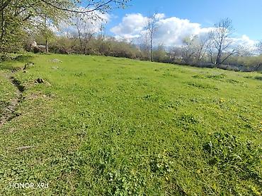 Torpaq sahələrinin satışı: Azərbaycanın ən gözəl guşələrindən biri olan Oğuz rayonu Xaçmaz — 13