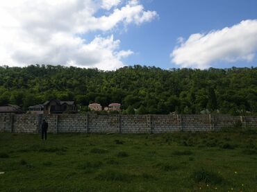 Torpaq sahələrinin satışı: 15 sot, Kənd təsərrüfatı, Mülkiyyətçi, Kupça (Çıxarış) — 36