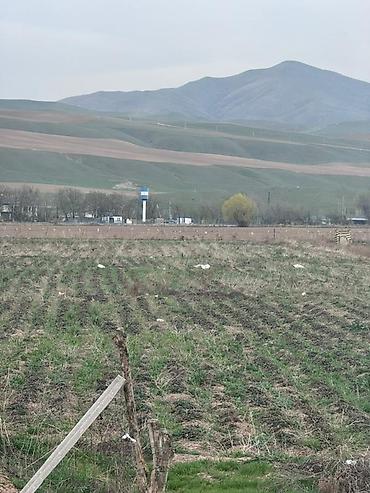 Продажа участков: 80 соток, Для сельского хозяйства — 10