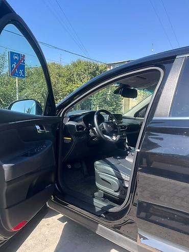 шина телешка: Hyundai Santa Fe: 2019 г., 2 л, Автомат, Бензин, Кроссовер — 9