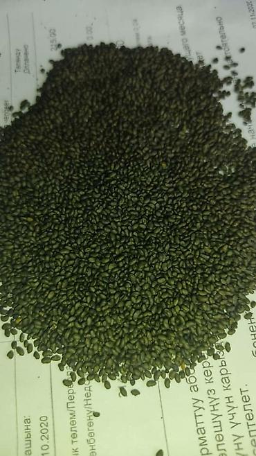 Другие зерновые культуры: Бедэ урук сатылат,Жогорку сорт,тап — 6