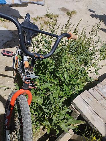 Velosipedlər: Uşaq velosipedi – Bravery Kids Sport 22 liy - Çərçivə: polad, BMX — 1