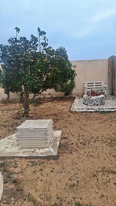 Bağ evlərinin satışı: Bakı, 50 kv. m, 2 otaqlı, Artezian quyusu, Qaz, Su — 17