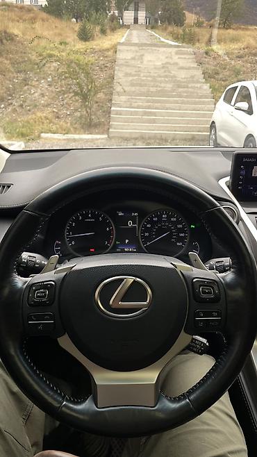 lexus nx300: Lexus NX: 2019 г., 2 л, Автомат, Бензин, Кроссовер — 8