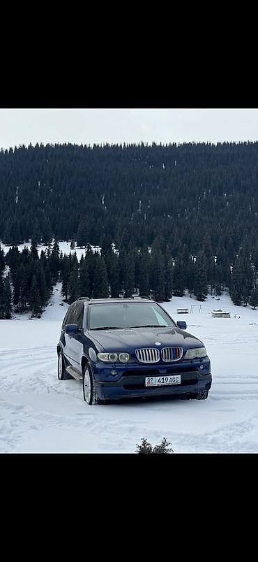 155 70 13: BMW X5: 2006 г., 3 л, Автомат, Дизель, Внедорожник — 1