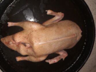 İtlər: ALLAH Hərkəsin Malına Bərəkət Versin Təmiz Kənd Şərayitində Böyudulmuş