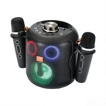 muzicke linije oglasi: BLUETOOTH ZVUČNIK KARAOKE SA DVA MIKROFONA | Višenamenski: USB/TF — 1