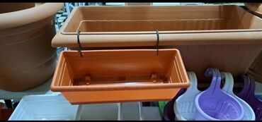 Digər gözəllik və sağlamlıq xidmətləri: Dibcek ucun hasar ceper gul ucun ceper hasar dibcekler ucun hasar -da lalafo.az — 12 Digər gözəllik və sağlamlıq xidmətləri: Dibcek ucun hasar ceper gul ucun ceper hasar dibcekler ucun hasar — 12