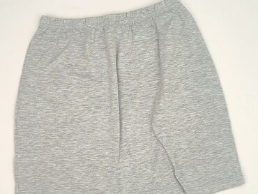 Women's Clothing: Women`s skirt, SinSay, size XS (EU 34)