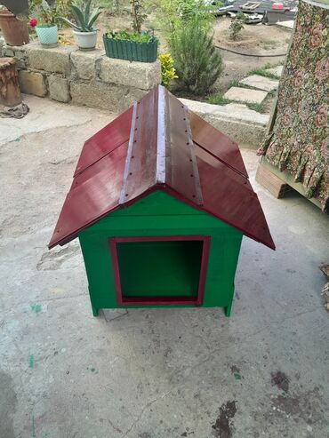 Kiçik cins itlər üçün. ,Sifarişlədə hazırlana bilər . ,Taksiylədə