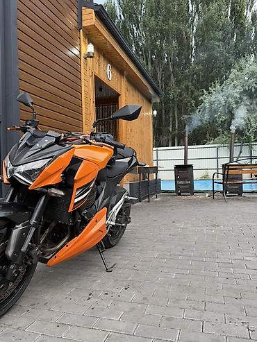ford fox: Naked Kawasaki, 800 куб. см, Бензин, Взрослый, Новый — 2