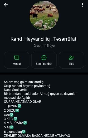 Информатика: Kənd Heyvancılıq Təsərrüfatı qrupu, qoyun və digər heyvan sahibləri