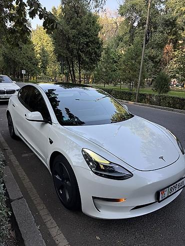 Tesla Model 3: 2021 г., Автомат, Электромобиль, Седан