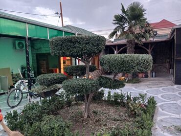 Landşaft işləri: Bağbanam kime bağban lazımdırsa buyura biler — 4