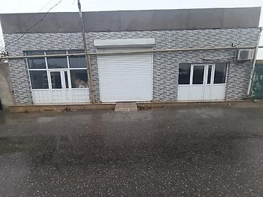 klub: TÜRKAN ÜZÜMÇÜLÜK SOVXOZU MƏRKƏZİNDƏ İdeal təmirli Obyektin 50 kv — 2