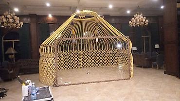 Аренда юрт: Аренда юрты, Каркас Металлический, 45 баш, С полом, Стулья, Казан — 6