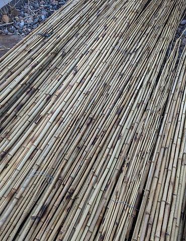 Бамбук: Натуральные тростниковые/бамбуковые палки (камышовые стебли) в — 1