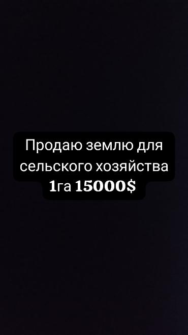 участок шопок: 100 соток, Для сельского хозяйства — 1