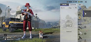 profil ucun kitab şəkilləri: PUBG Mobile hesabı – zəngin inventar və nadir kosmetiklər - — 10