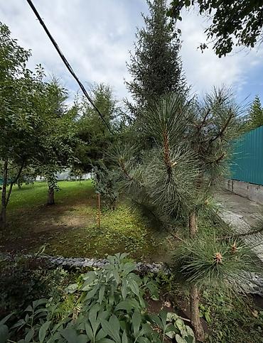 без торга: 3 комнаты, 73 м², 4 соток, Электричество, Холодная вода, Септик — 7