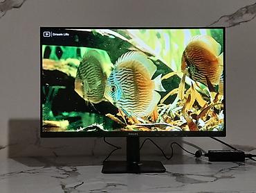 Мониторы: Монитор, Philips, Новый, LCD, 23" - 24" — 13